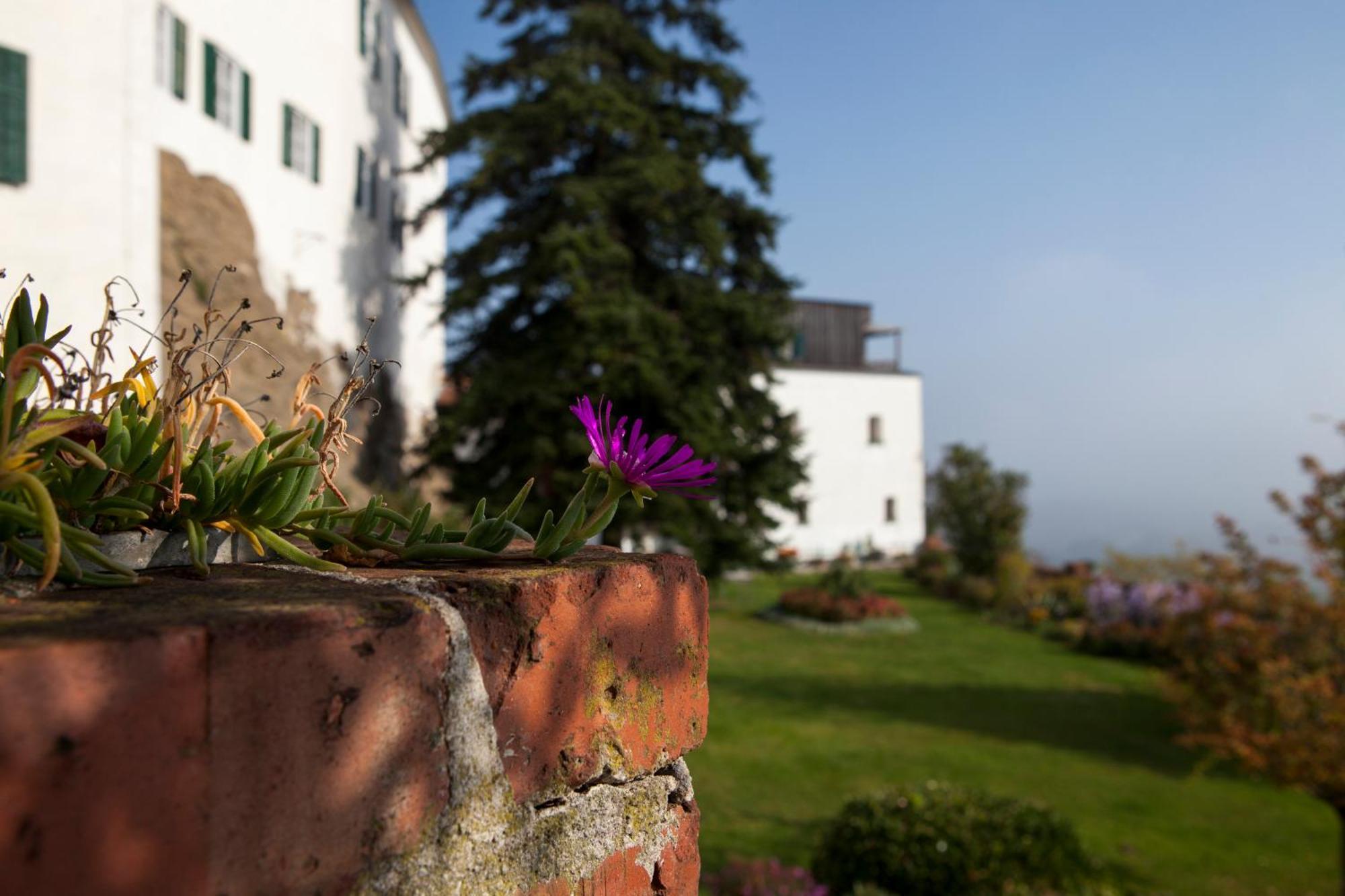 Schloss Kapfenstein Dış mekan fotoğraf